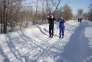 «Лыжня России» начинается с тебя. г.Николаевск, 2019г.